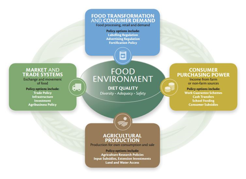 Frameworks such as this show the multi-dimensional nature of food systems, incorporating consideration of the environment, climate change, health, and inclusive economic development.