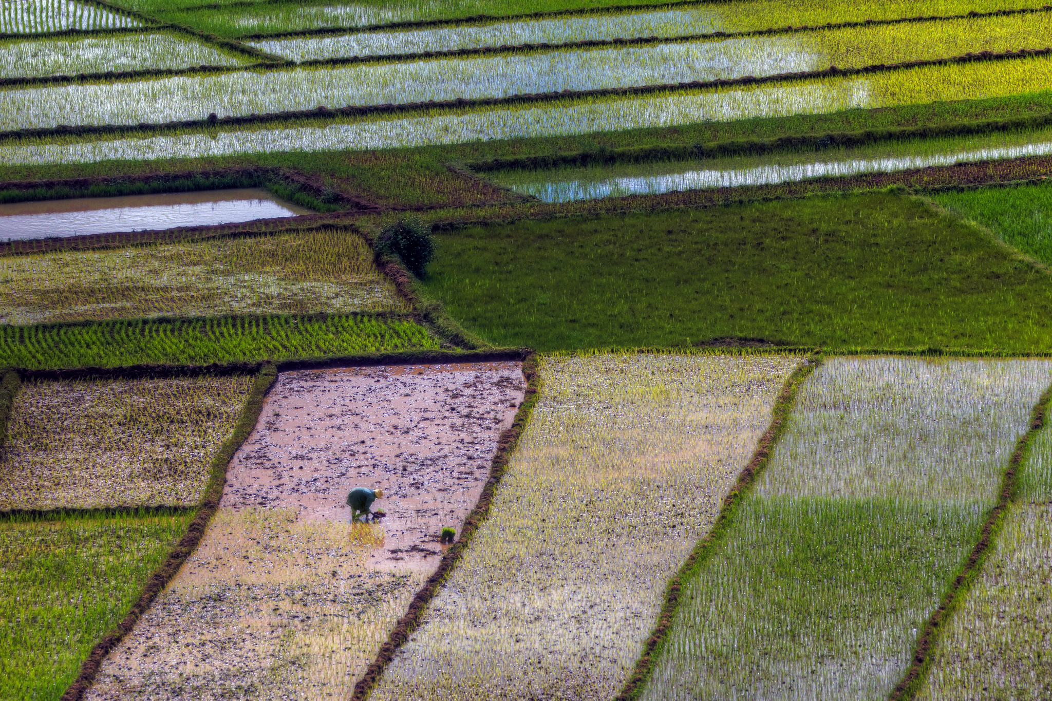 Field worker