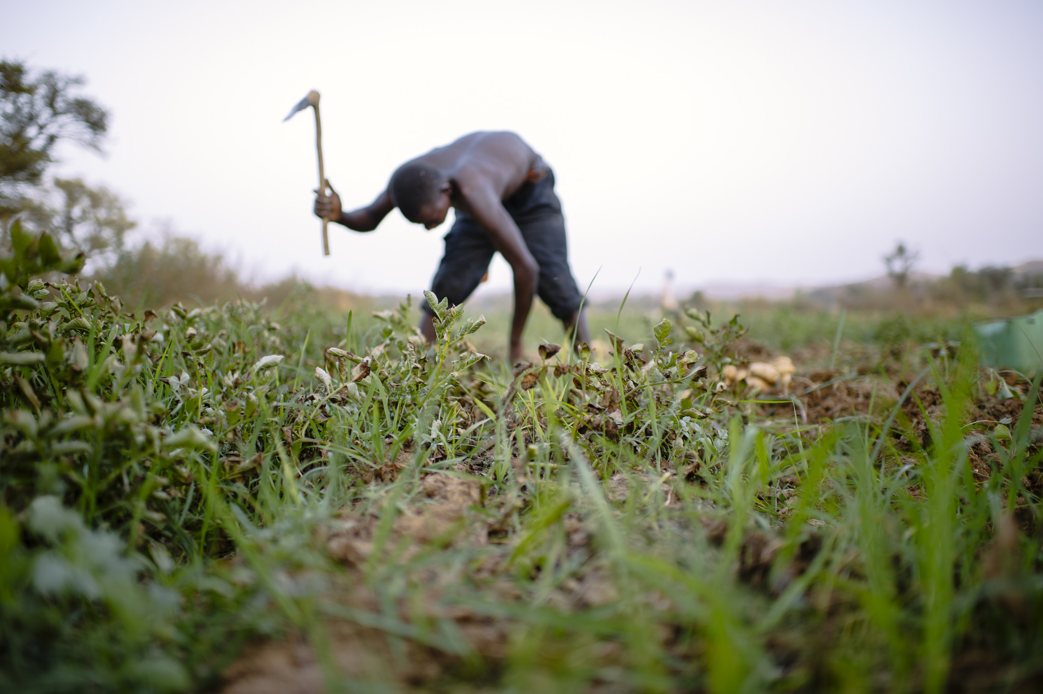 Gardening near Lake Bam