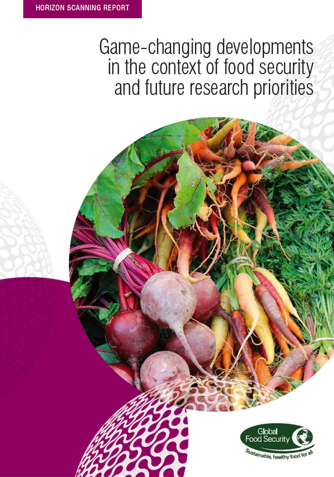 Horizon scanning report: Game-changing developments in the context of food security and future research priorities