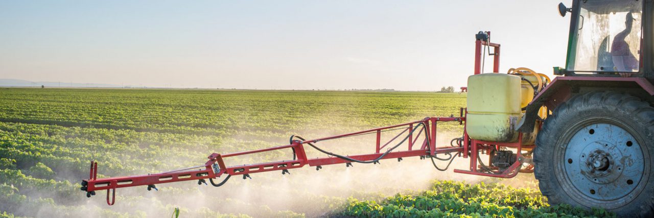 A tractor spraying crops in a field