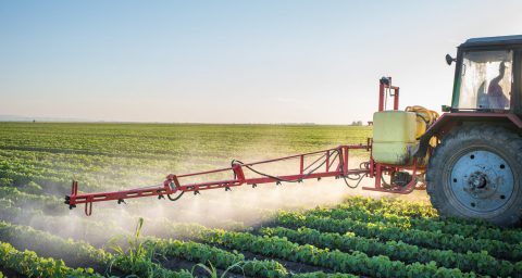 A tractor spraying crops in a field