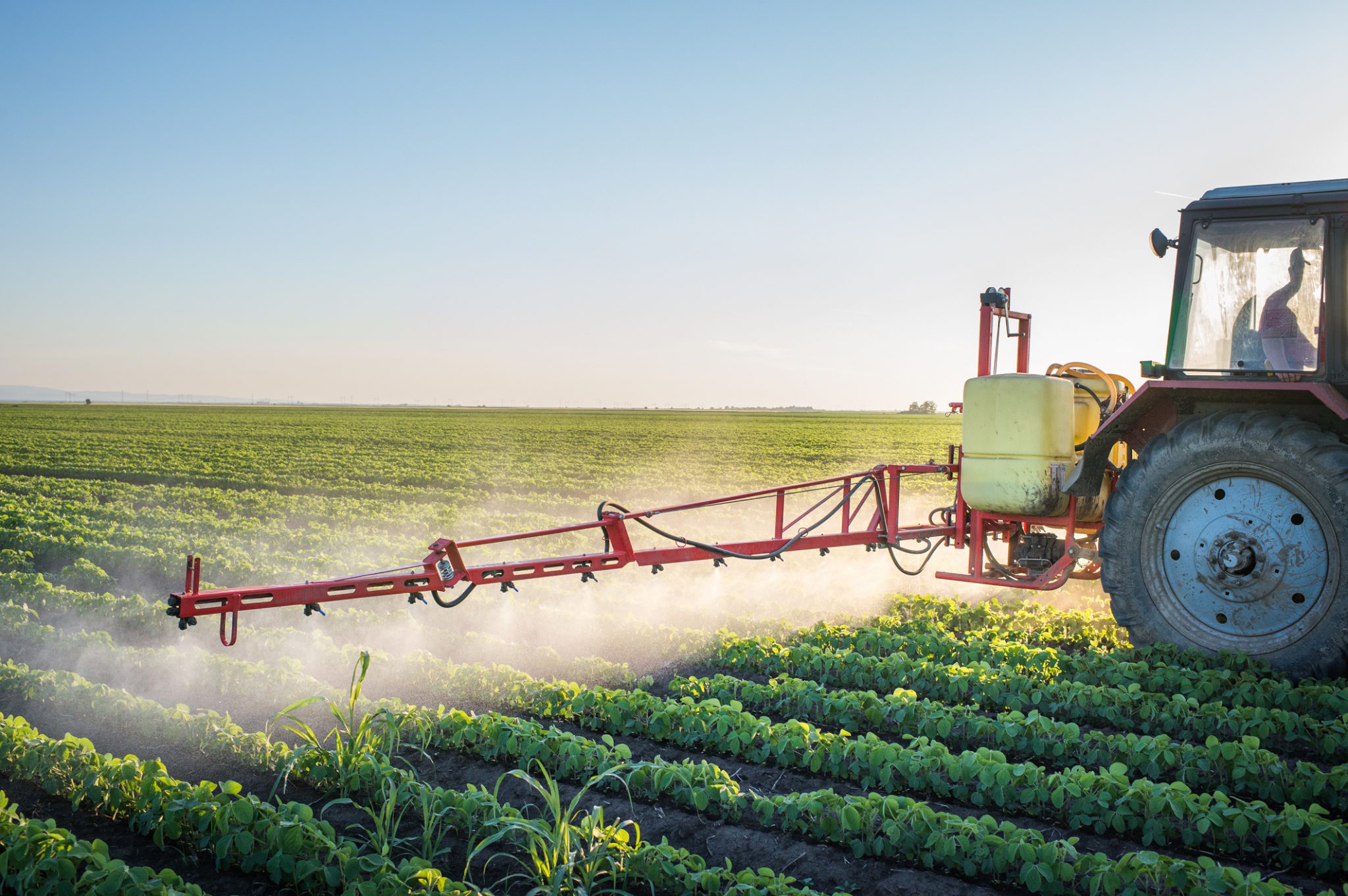 A tractor spraying crops in a field