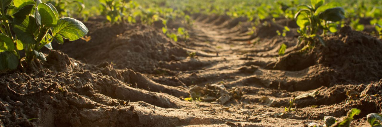 Tractor wheel mark trail on soil of agricultural plow field