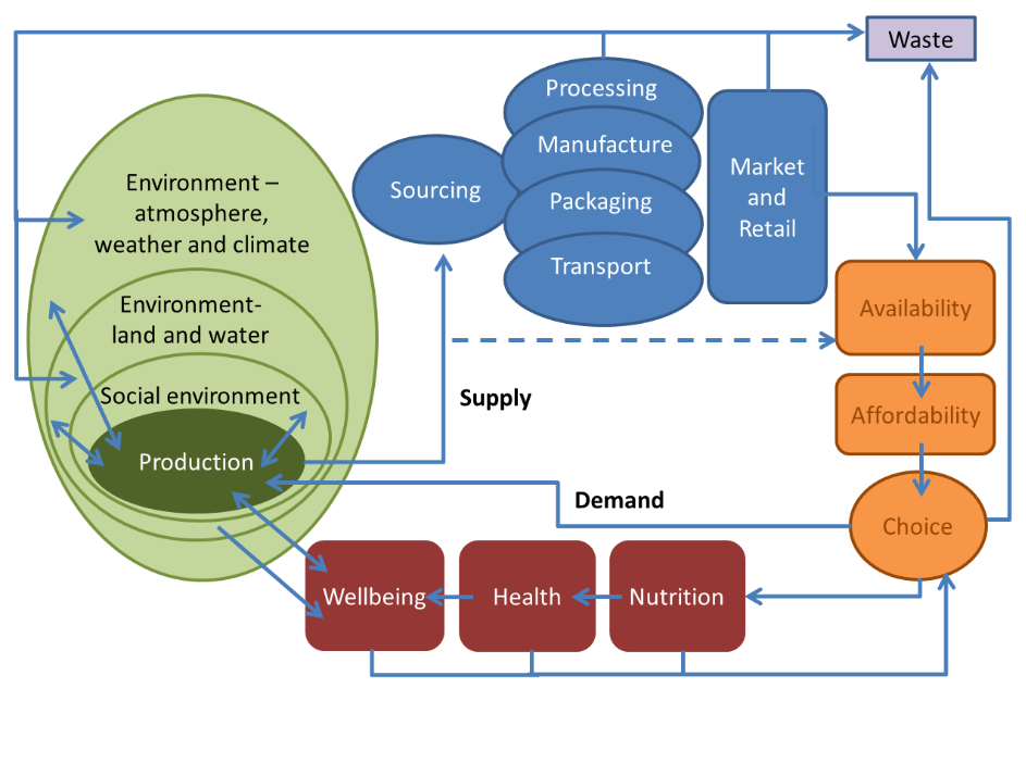 Food system diagram