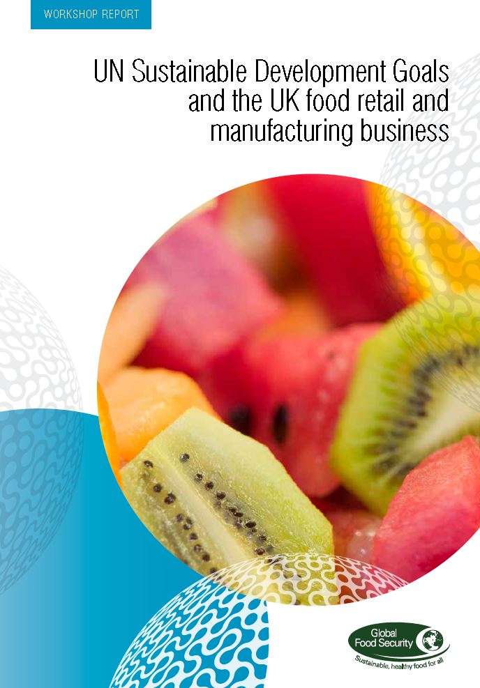 Cover image of the UN Sustainable Development Goals and the UK food retail and manufacturing business