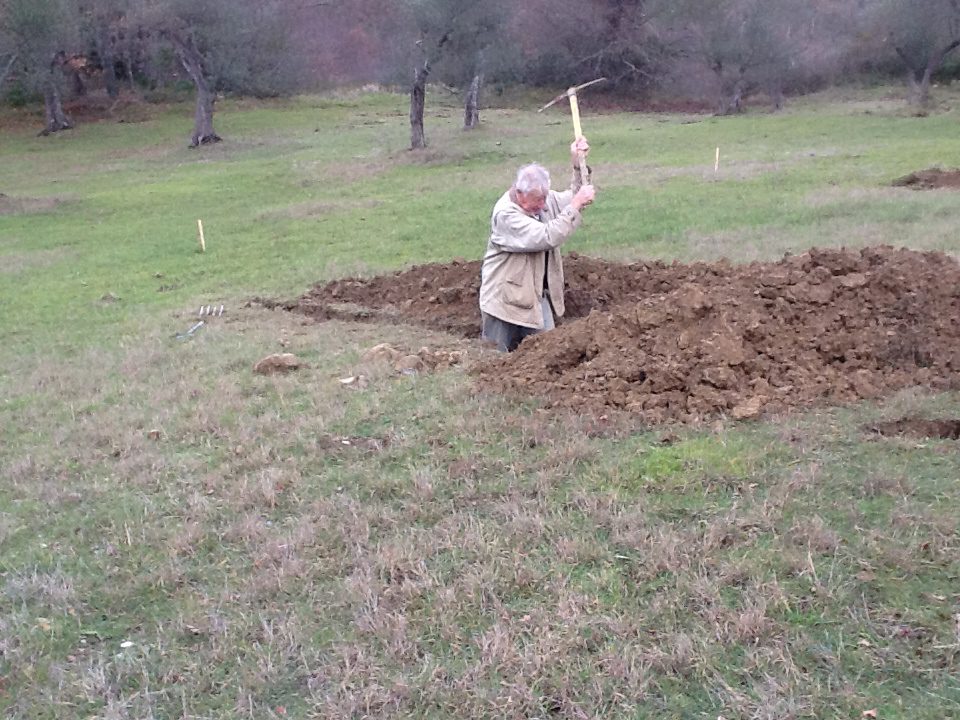 Man digging a hole in a field