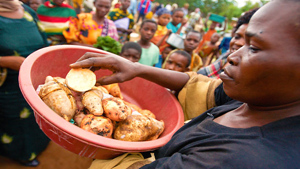 Local food producer at market