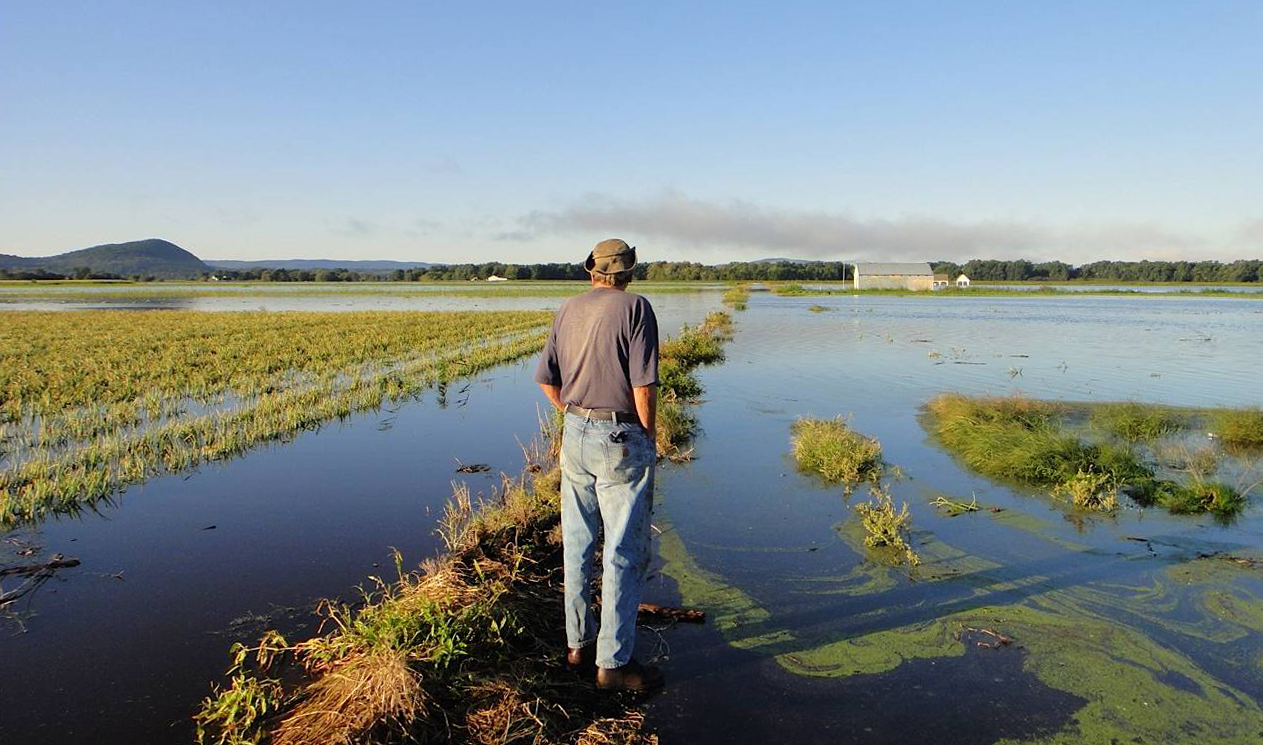 Flooded crop field in the US after a hurricane