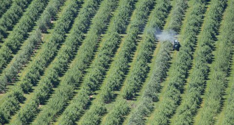 Tractor spraying crops with chemicals