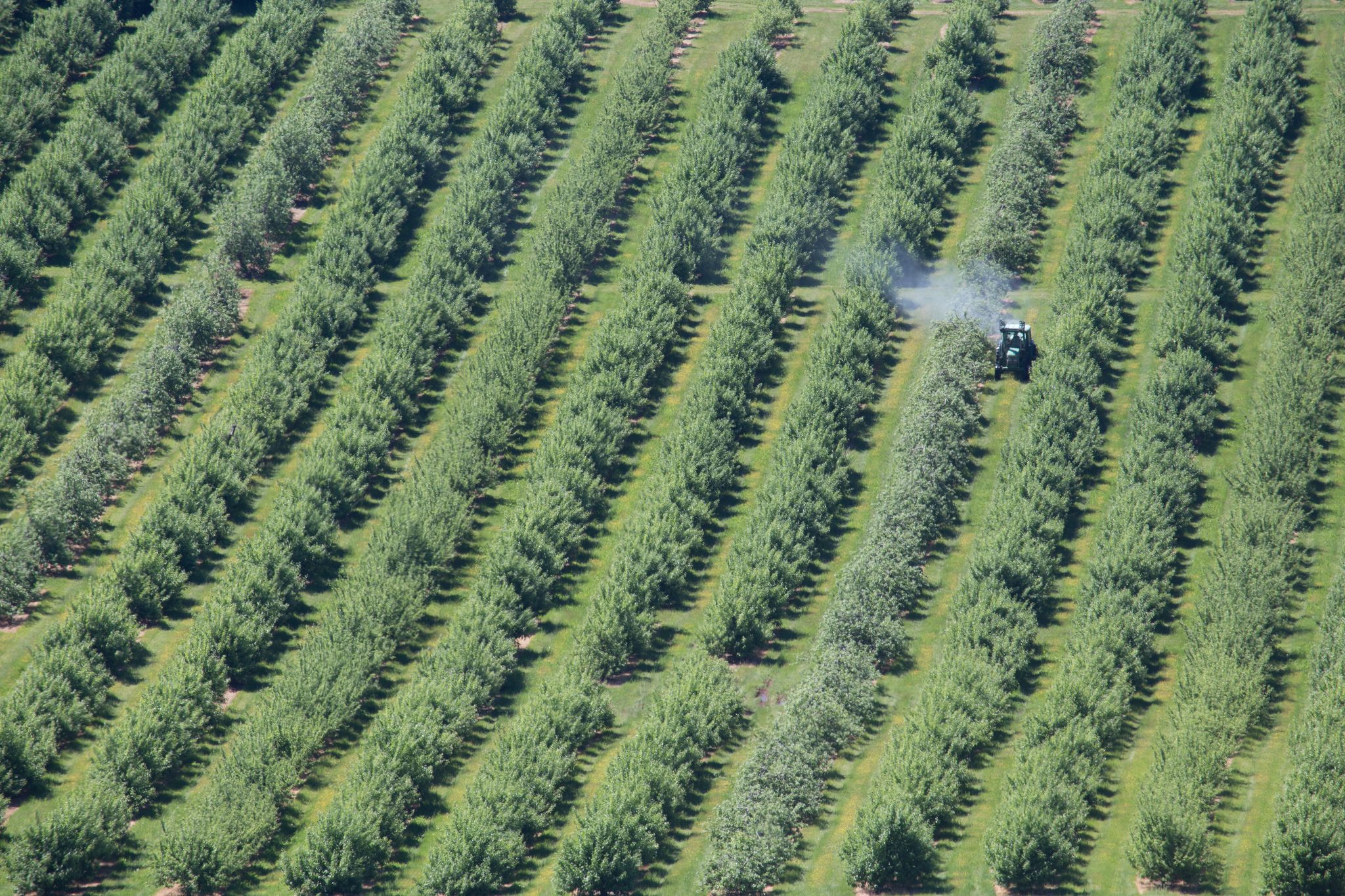 Tractor spraying crops with chemicals