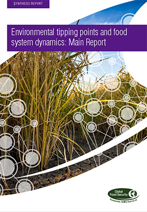 Environmental tipping points and food system dynamics: Main report