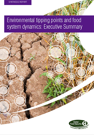 Environmental tipping points and food system dynamics: Executive summary