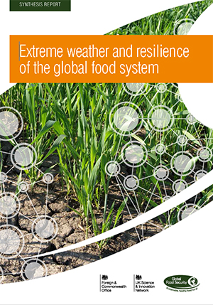 Extreme weather and resilience of global food system