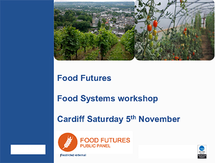 Food Futures Panel: Food systems workshop