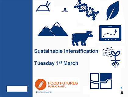 Food Futures Panel: Sustainable intensification