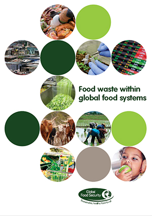 Food waste within global food systems