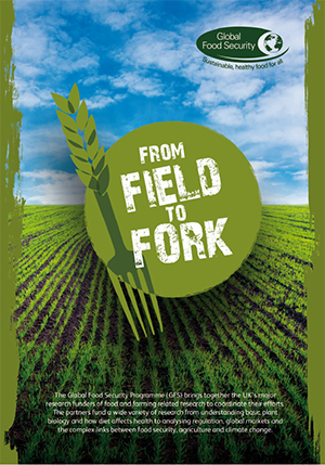 From Field To Fork