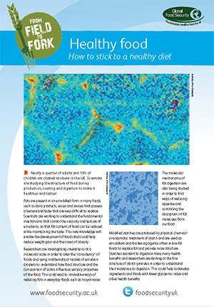 Field to Fork: Healthy food