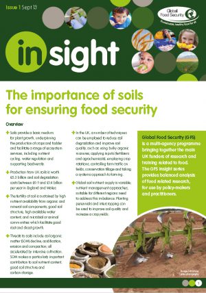 Insight: The importance of soils for ensuring food security