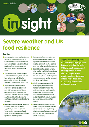 Insight: Severe weather and UK food resilience