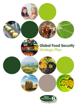 Global Food Security Strategic Plan