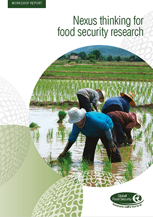 Nexus thinking for food security research