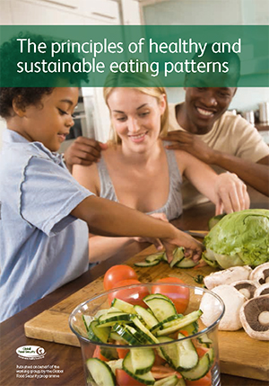 The principles of healthy and sustainable eating patterns