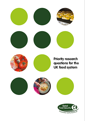 Priority research questions for the UK food system