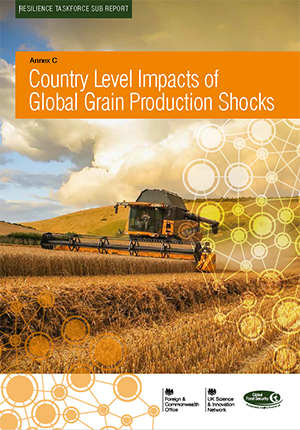 Country level impacts of global grain production shocks