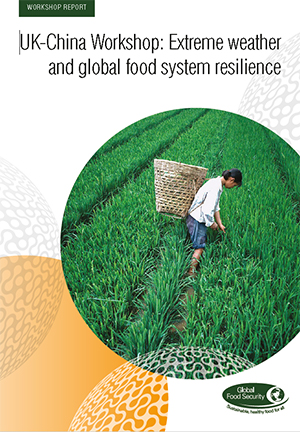 UK-China workshop: Extreme weather and global food system resilience