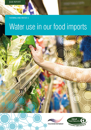 Water use in our food imports