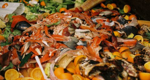 Peering into a food dumpster