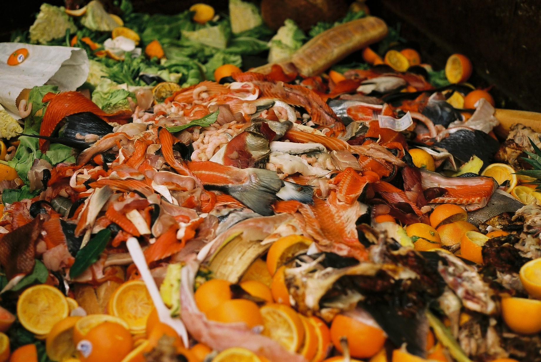 Peering into a food dumpster