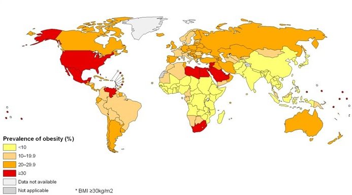 Global obesity map