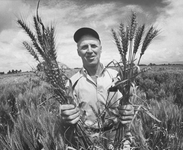 Norman Borlaug