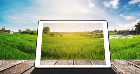 Tablet on wooden table with countryside in background