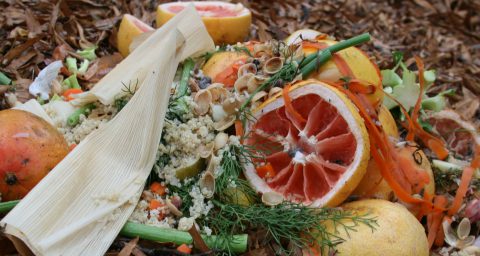 discarded fruit and vegetable waste