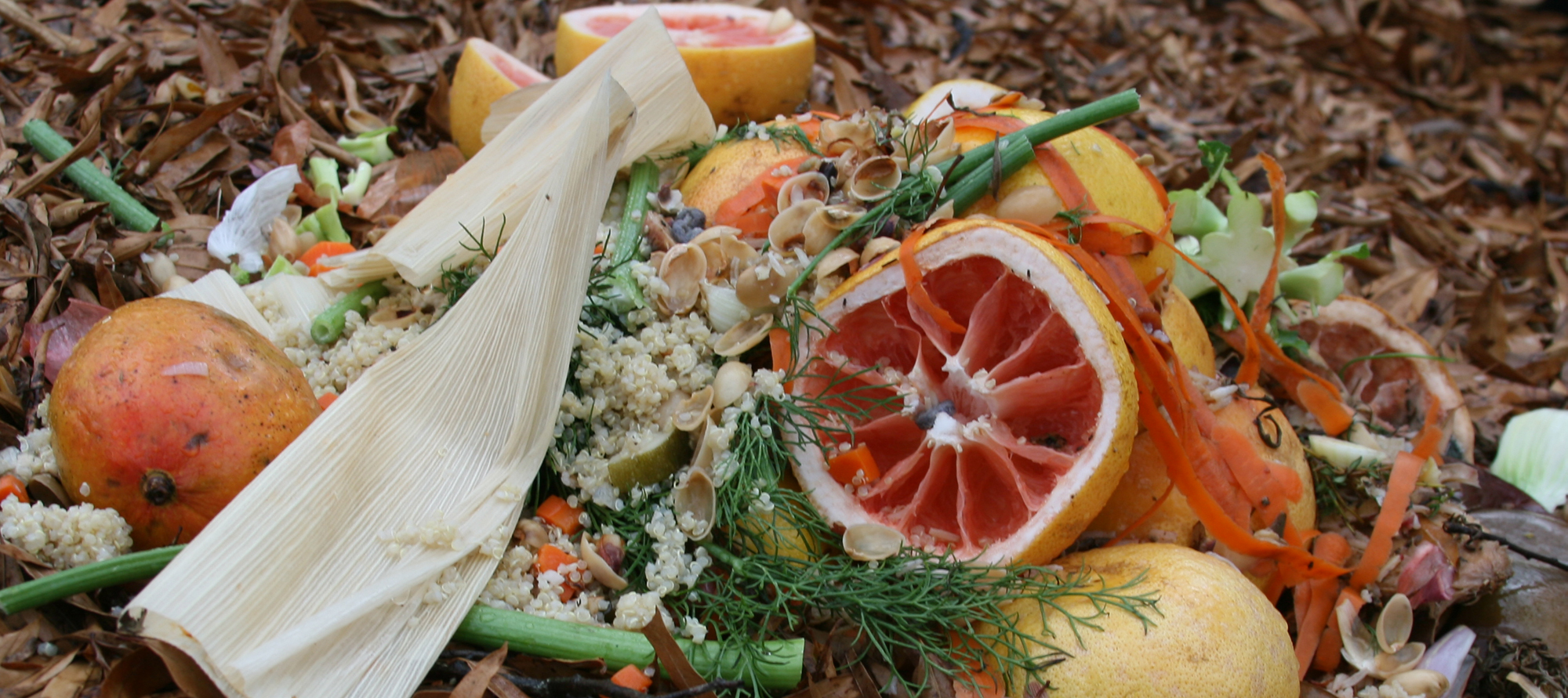 discarded fruit and vegetable waste